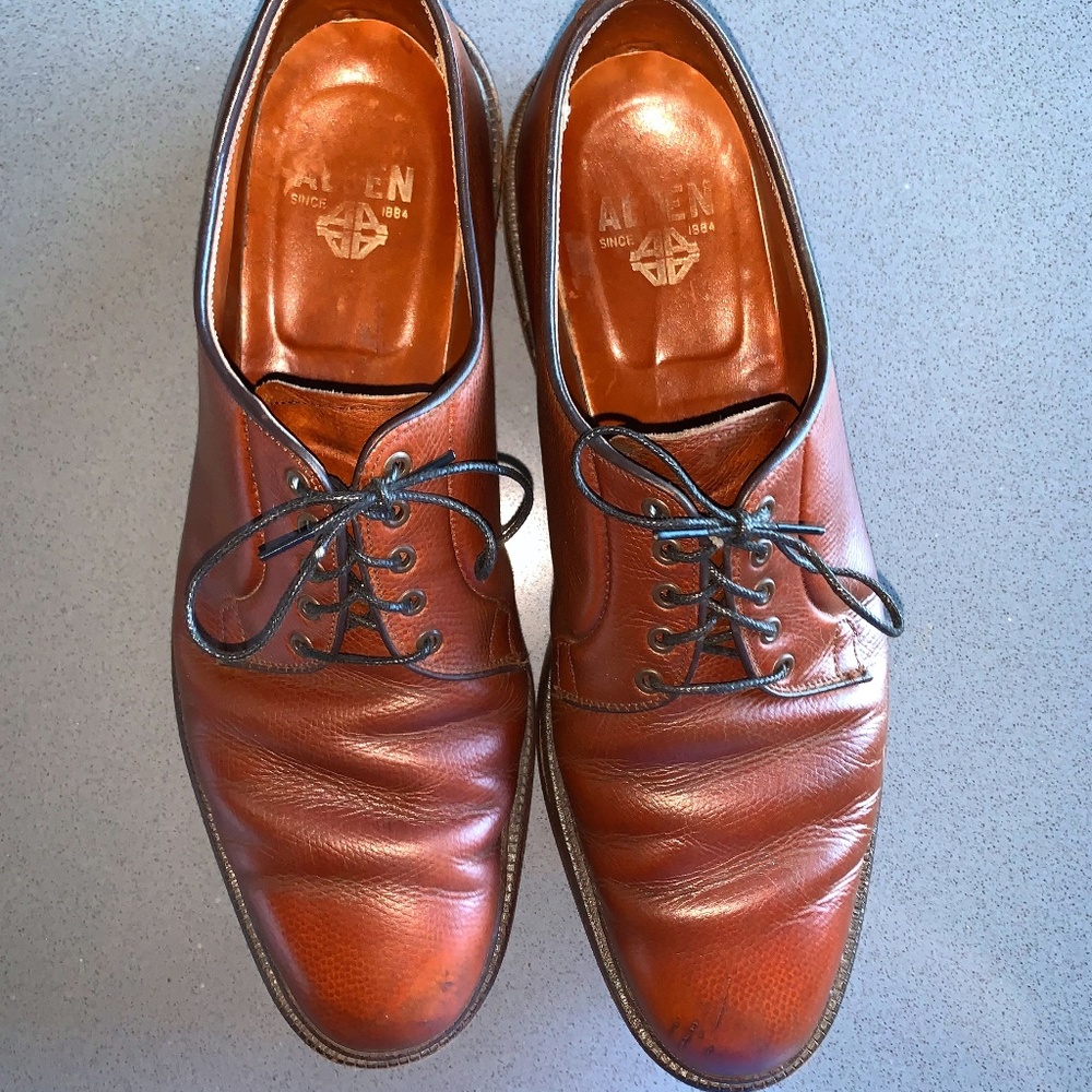 Alden 946 Brown Alpine Grain Plain Toe Bloucher 10